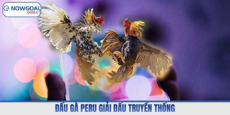 Đấu gà Peru giải đấu truyền thống