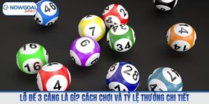 Lô Đề 3 Càng Là Gì? Cách Chơi Và Tỷ Lệ Thưởng Chi Tiết